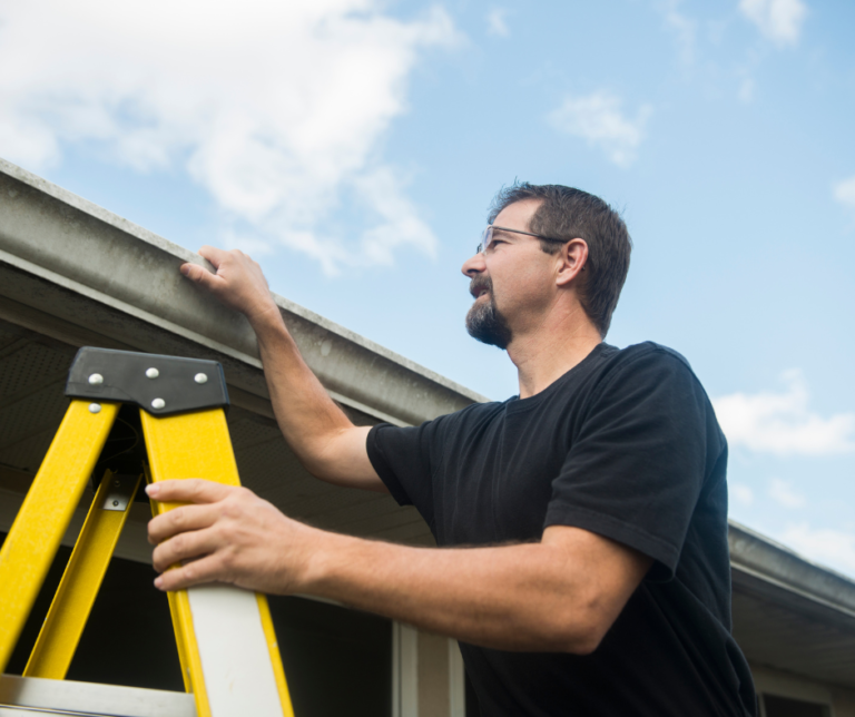 roof inspection